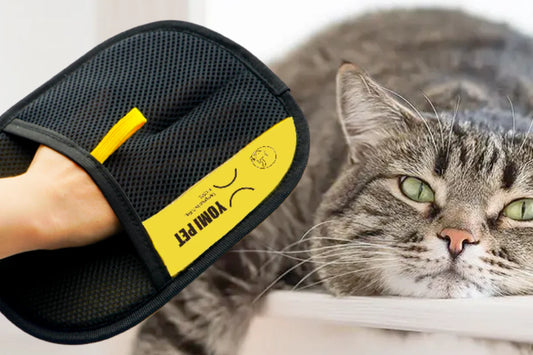 Double-sided Grooming Gloves Pet Hair Remover