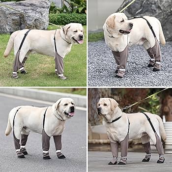 Reflective Dog Suspender Boots