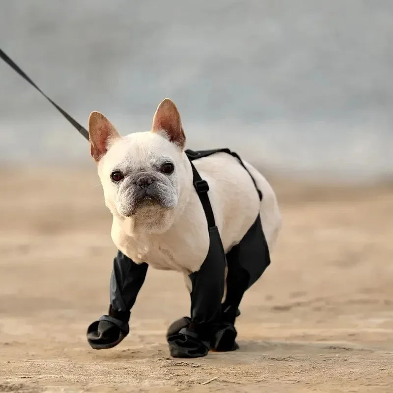 Reflective Dog Suspender Boots
