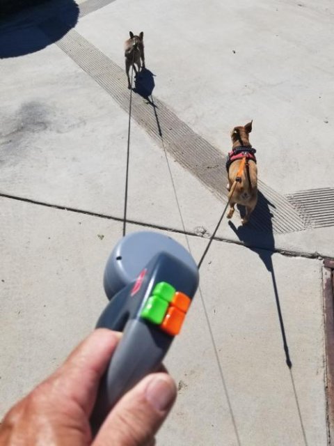 Retractable Pet Leash Automatic Retractable Pet Leash